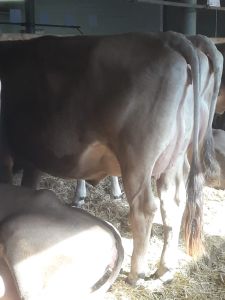 e561c466-8ddd-4d41-8660-b55465653fc5